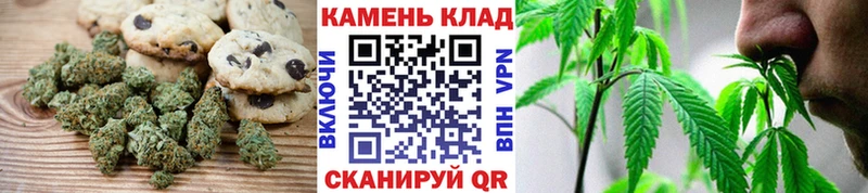 Canna-Cookies марихуана  МЕГА ТОР  Долгопрудный 
