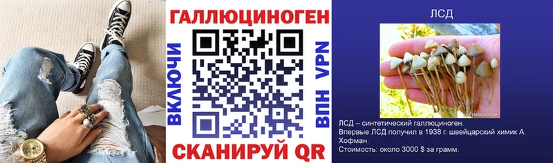Псилоцибиновые грибы Psilocybine cubensis  Долгопрудный 